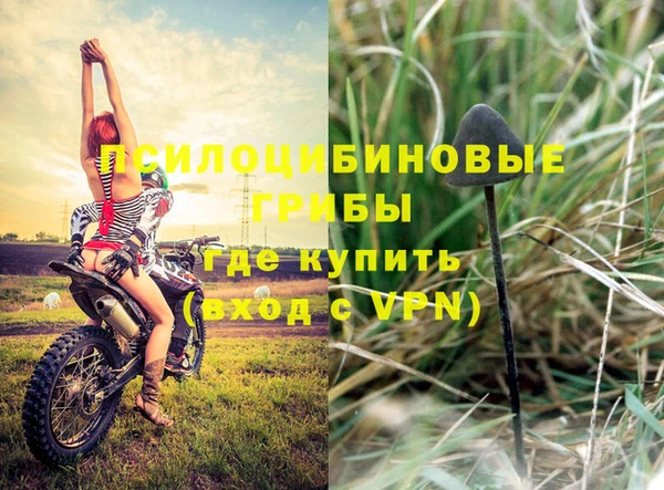 прущий лед Белокуриха