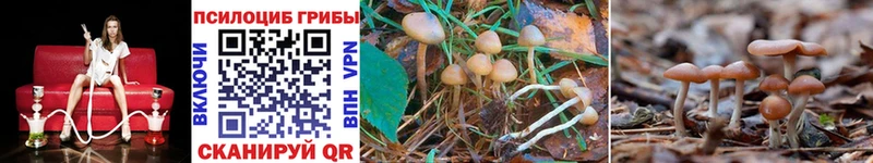Галлюциногенные грибы Cubensis  Облучье 